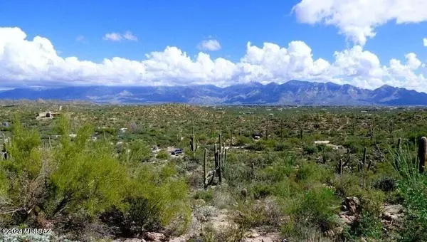 Tucson, AZ 85755,14215 N Gecko Canyon Trail