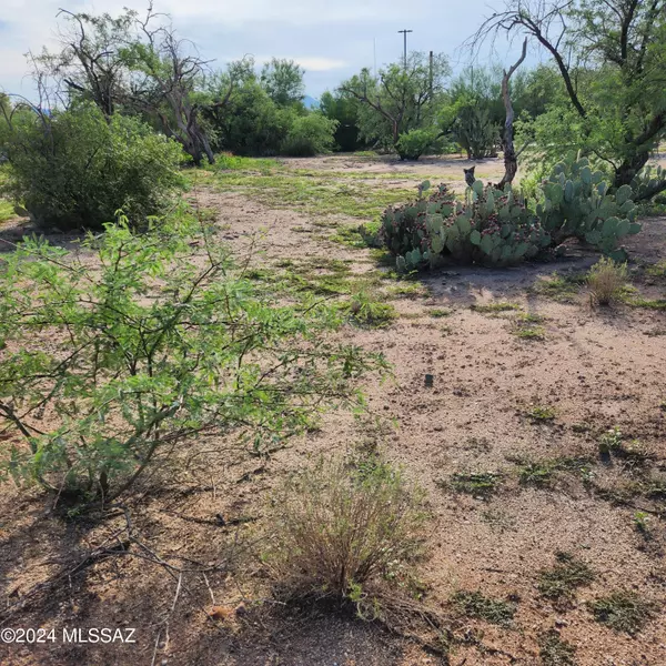 Tucson, AZ 85705,1762 W Ruthrauff Road