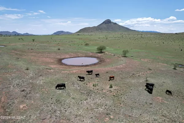 Elgin, AZ 85611,TBD TBD #TBD