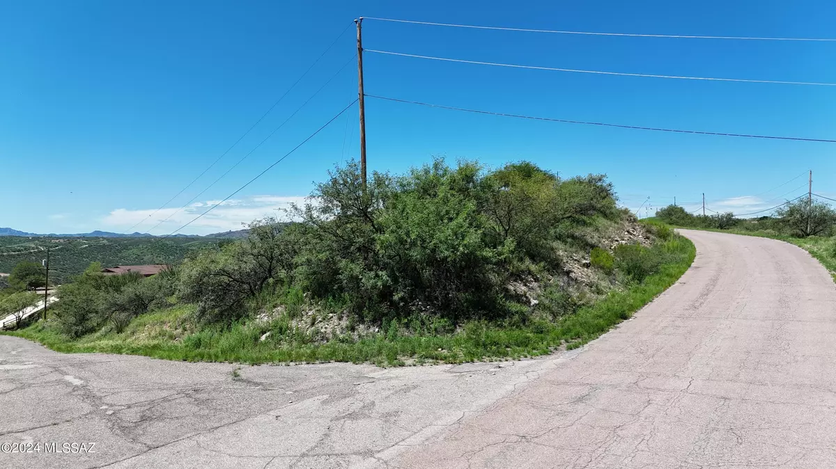 Rio Rico, AZ 85648,1446 Circulo Sombrero  #77