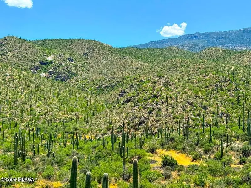 15000 E Redington Rd 13.7 acres, Tucson, AZ 85741