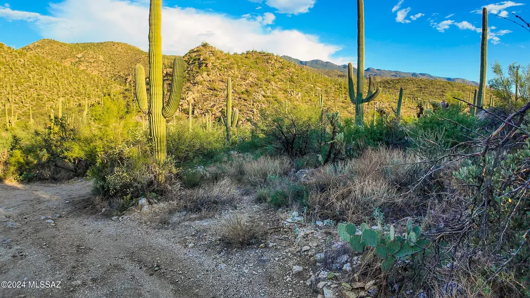 15000 E Redington Rd 13.7 acres, Tucson, AZ 85741