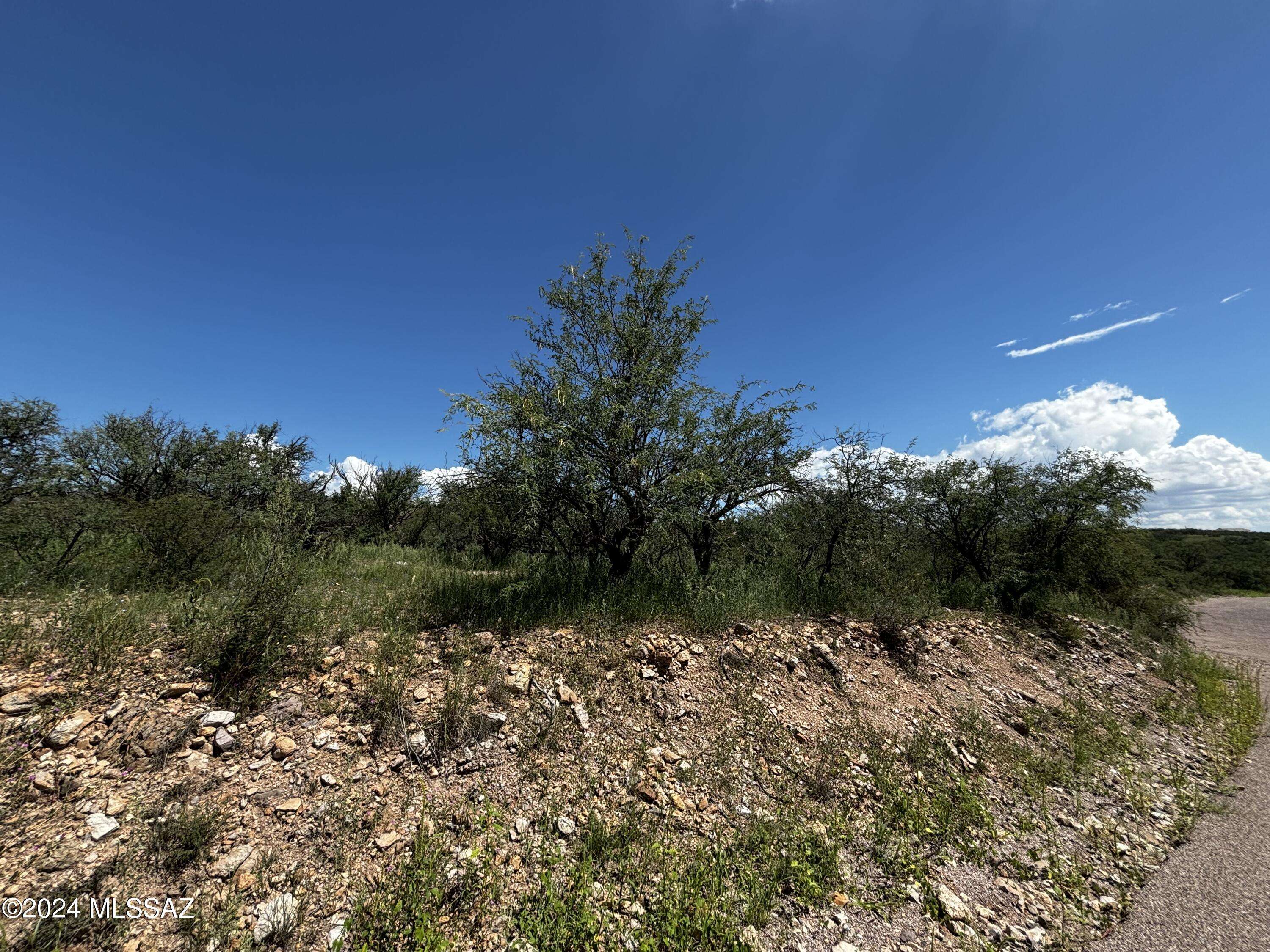 Rio Rico, AZ 85648,582 Avenida Septiembre  #14