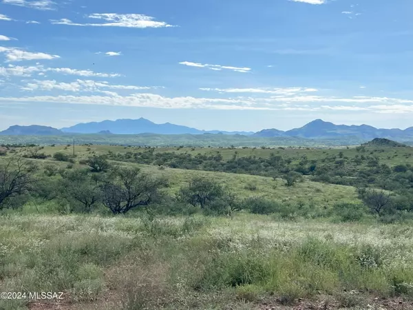 13910 W Jalisco Road, Arivaca, AZ 85601