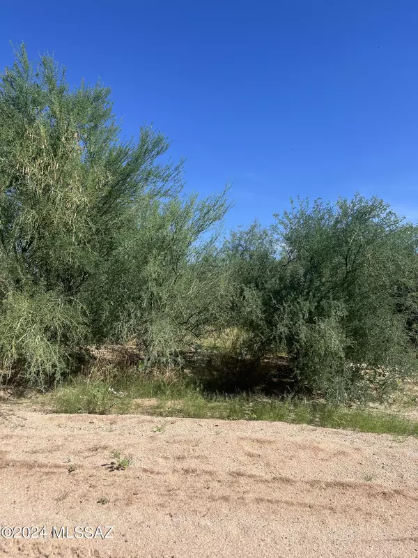 Tucson, AZ 85735,8388 Howling Coyote Trail