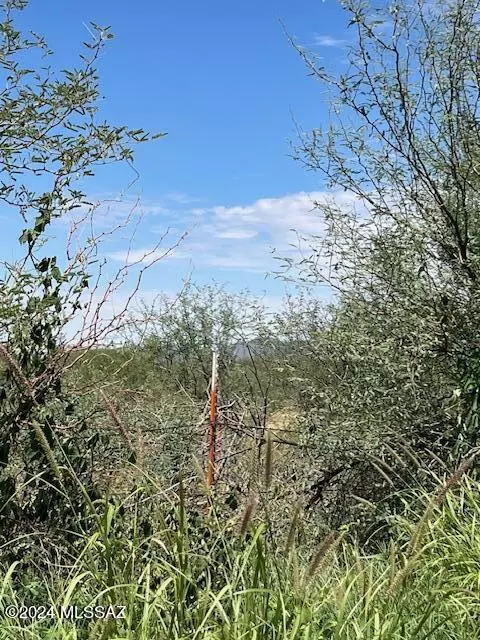 Tucson, AZ 85735,8388 Howling Coyote Trail