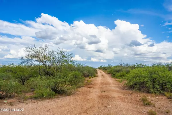 Elfrida, AZ 85610,348 Acres Ghost Town Trail #-