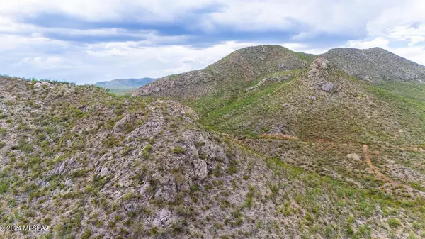 Elfrida, AZ 85610,348 Acres Ghost Town Trail #-