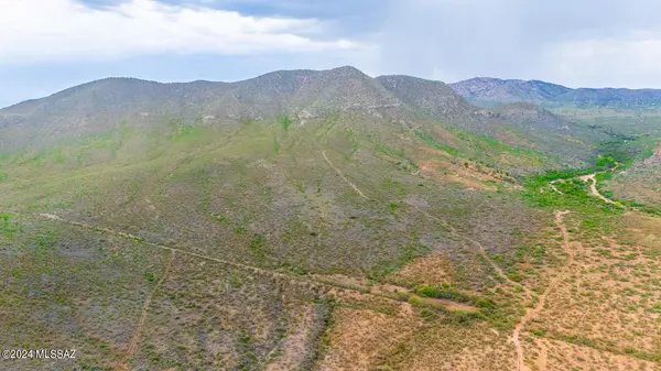 286 Acres Ghost Town Trail #-, Elfrida, AZ 85610