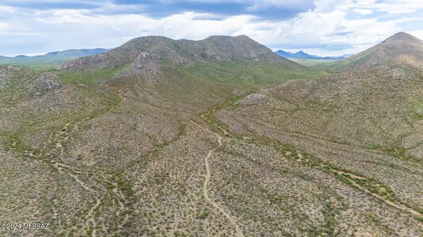 Elfrida, AZ 85610,62 Acres Ghost Town Trail #-