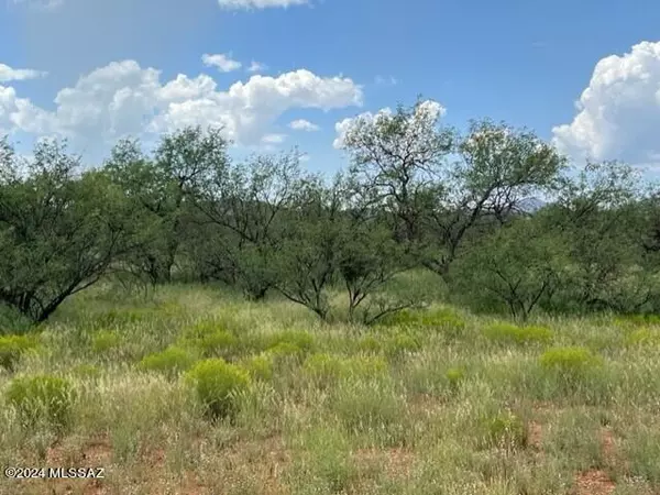 Arivaca, AZ 85601,15301 W Ili Teka Road