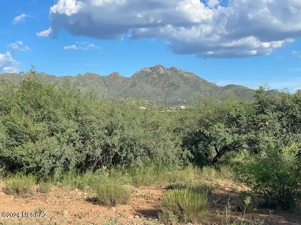 Rio Rico, AZ 85648,1785 Circulo Corona  #9