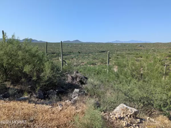 Tucson, AZ 85747,0000 E Rincon Creek Ranch Road #1