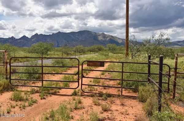 Cochise, AZ 85606,40 AC W Redhead Road #-