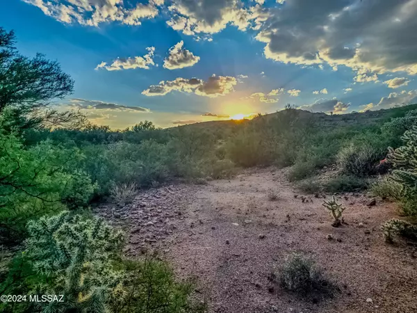 Green Valley, AZ 85614,TBD W Duval Mine Road