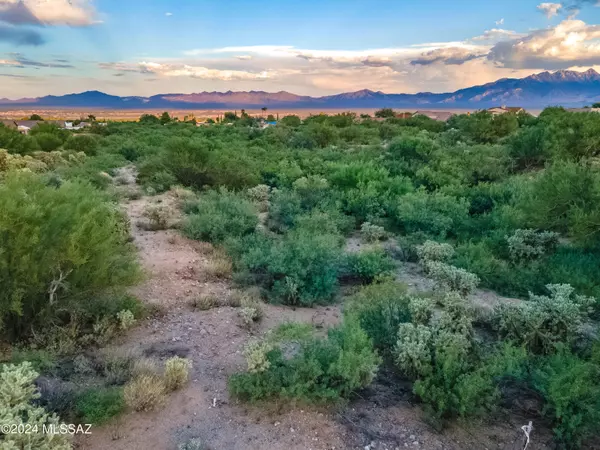 Green Valley, AZ 85614,TBD W Duval Mine Road