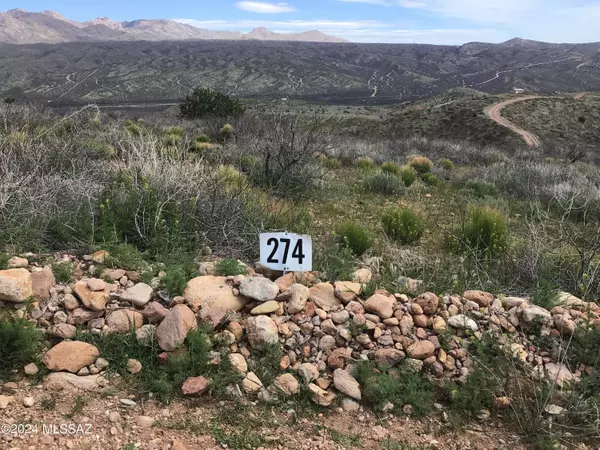 Lot 274 High Point Ranch Road, Willcox, AZ 85643