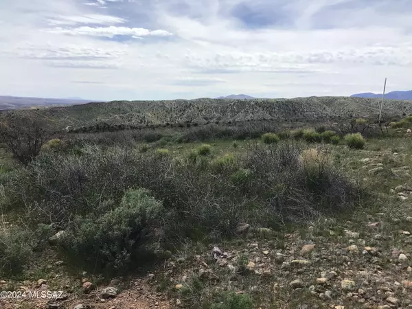 Willcox, AZ 85643,Lot 274 High Point Ranch Road