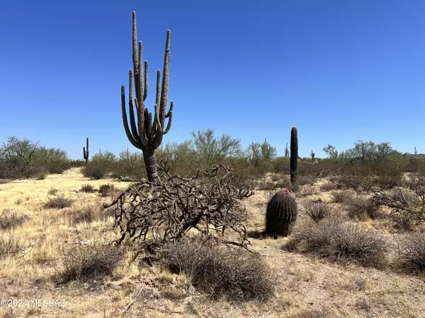 Marana, AZ 85658,00000 S Coyotes South Lane