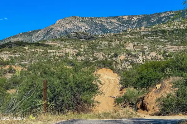 Tucson, AZ 85739,16500 N Ridge Rock Trail