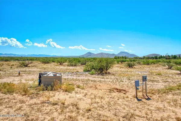 Pearce, AZ 85625,13684 S Tyree Road #0