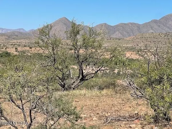 Rio Rico, AZ 85648,TBD Sonoita Creek Ranch Road #55