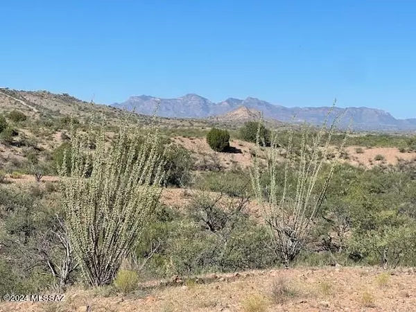 Rio Rico, AZ 85648,TBD Sonoita Creek Ranch Road #55
