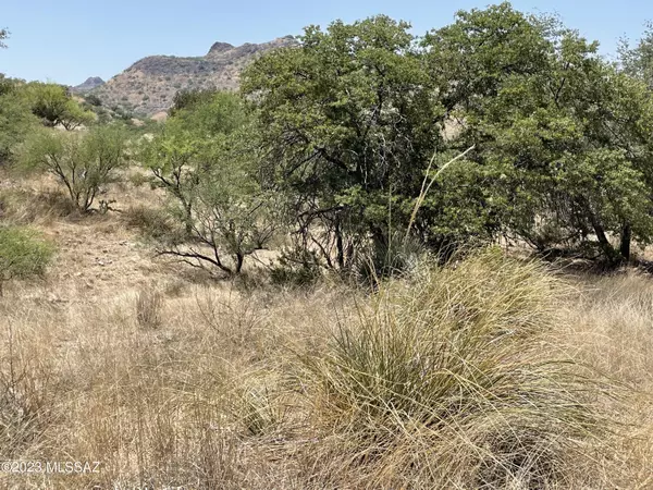 Tubac, AZ 85646,TBD Montezuma Well Road #162/5