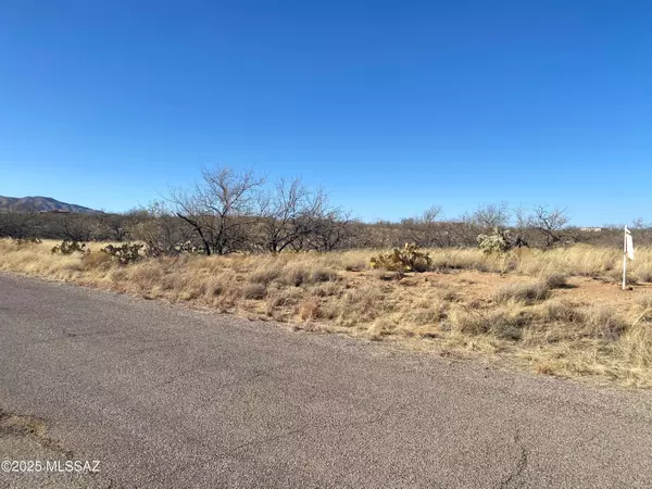 Sahuarita, AZ 85629,TBD W Lost Silver Ln  #132B