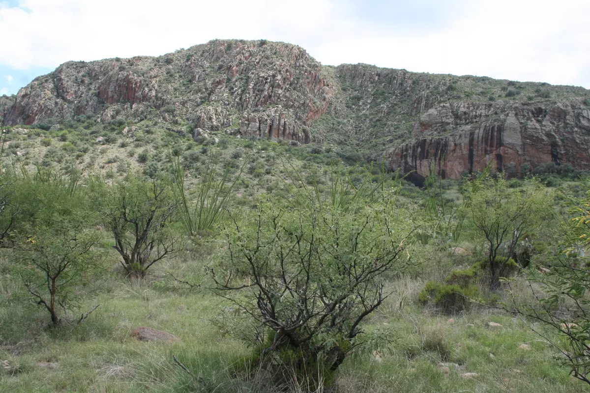 Tubac, AZ 85646,140 Tejano Springs Road #38.1