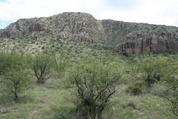 140 Tejano Springs Road #38.1, Tubac, AZ 85646