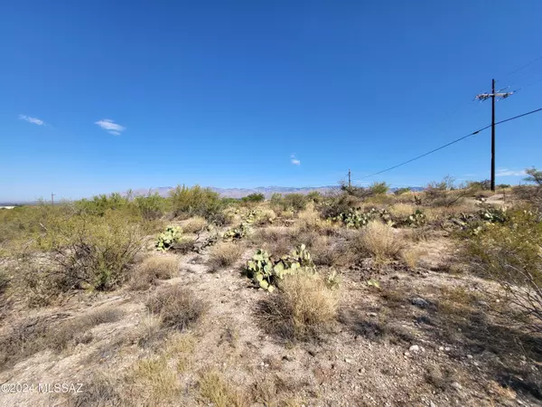 Tucson, AZ 85748,51 S Melpomene Way