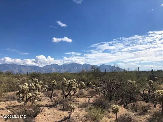 Marana, AZ 85658,3480 W T Bench Bar Way #11