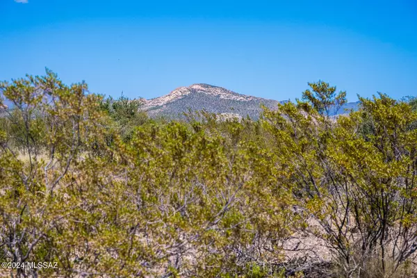 9.65 Ac E Dakota Drive #0,  Douglas,  AZ 85607