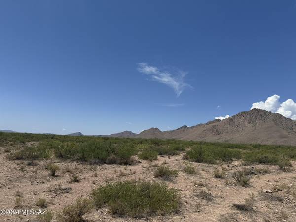 37.63 Acre E Sunrise Drive #0, San Simon, AZ 85632