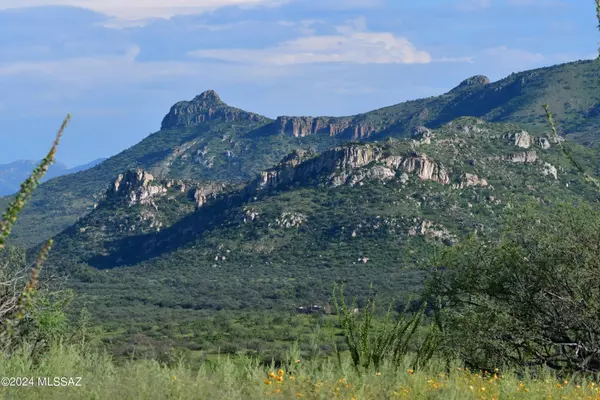 Tubac, AZ 85646,000 Poorwill Canyon Court #9