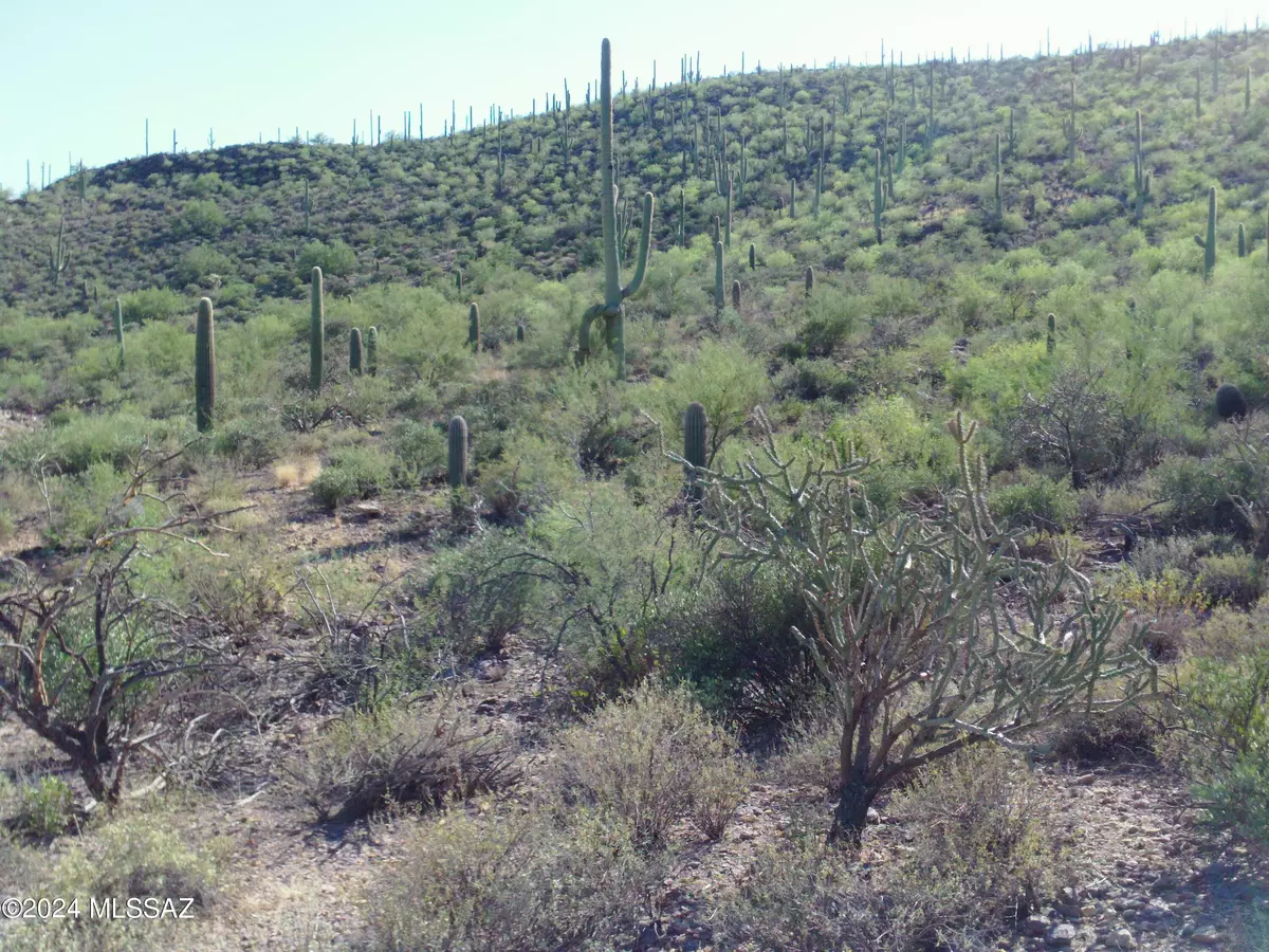 Tucson, AZ 85745,4945 W Crestview Drive #Lot 2