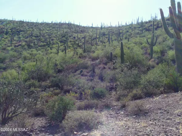 Tucson, AZ 85745,4945 W Crestview Drive #Lot 2