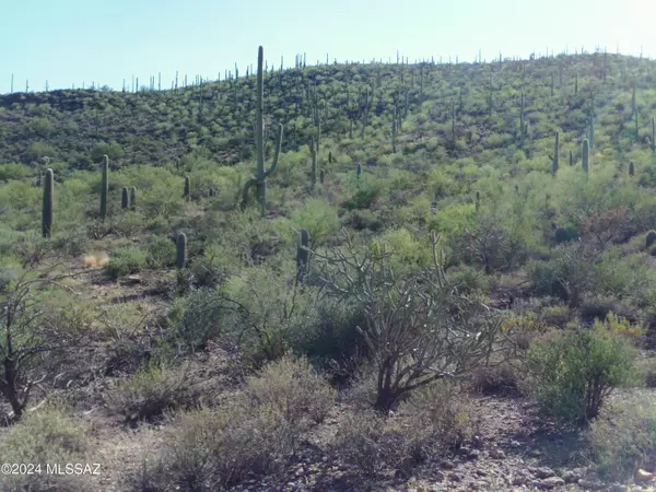 Tucson, AZ 85745,4945 W Crestview Drive #Lot 2