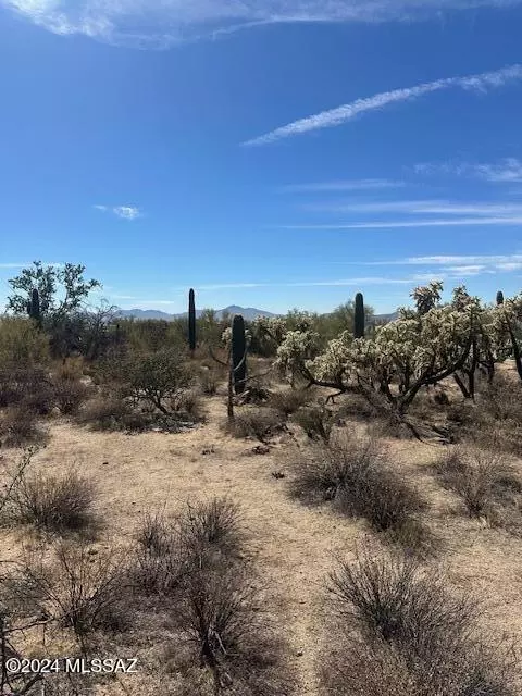 Tucson, AZ 85742,TBD W Camino De Manana