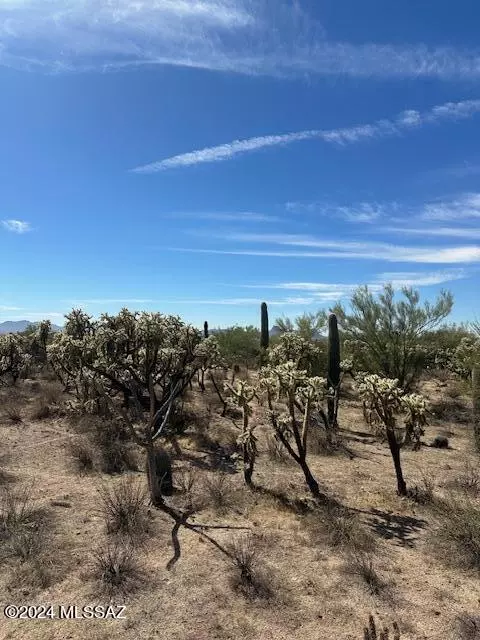 Tucson, AZ 85742,TBD W Camino De Manana