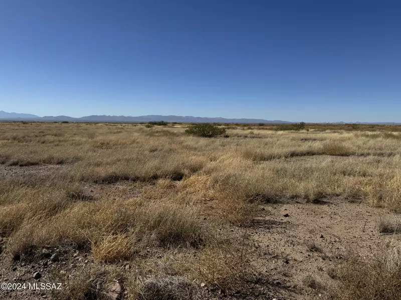 .22 Acre N San Mateo Drive #151, Douglas, AZ 85607