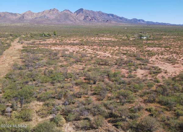 40.5 AC N Weigand-Pratt Road #S2, Elfrida, AZ 85610