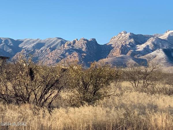 TBD109D W DOE RANCH Road #1, Pearce, AZ 85625