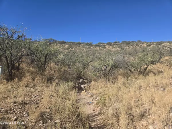 Rio Rico, AZ 85648