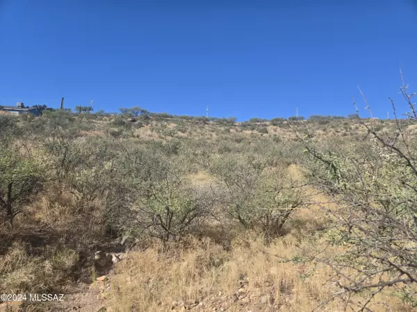 Rio Rico, AZ 85648