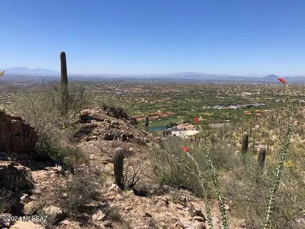 7296 E Stone Canyon Drive, Tucson, AZ 85750
