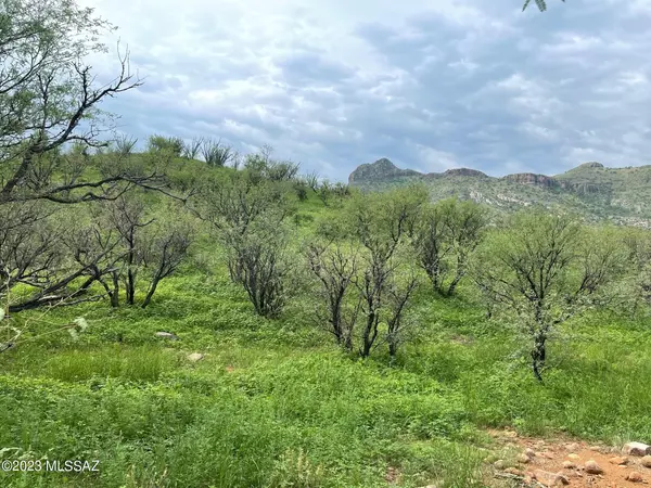 Rio Rico, AZ 85648,800 Salero Canyon Road #123.3