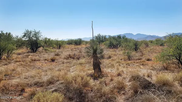 Cochise, AZ 85606,1 Acre W Richey Street #6