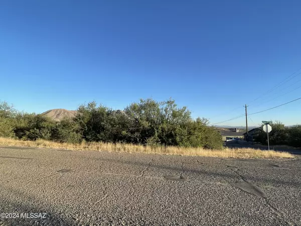 Rio Rico, AZ 85648,1801 Via Nueva Zelandia  #1